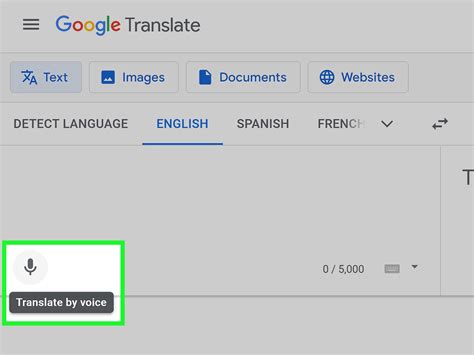 buster tradutor|Google Translate.